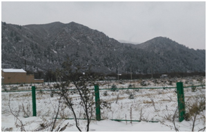 BC��(�й���)�ٷ���վ