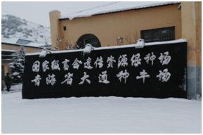 BC��(�й���)�ٷ���վ