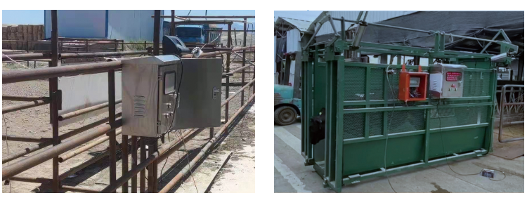 BC��(�й���)�ٷ���վ